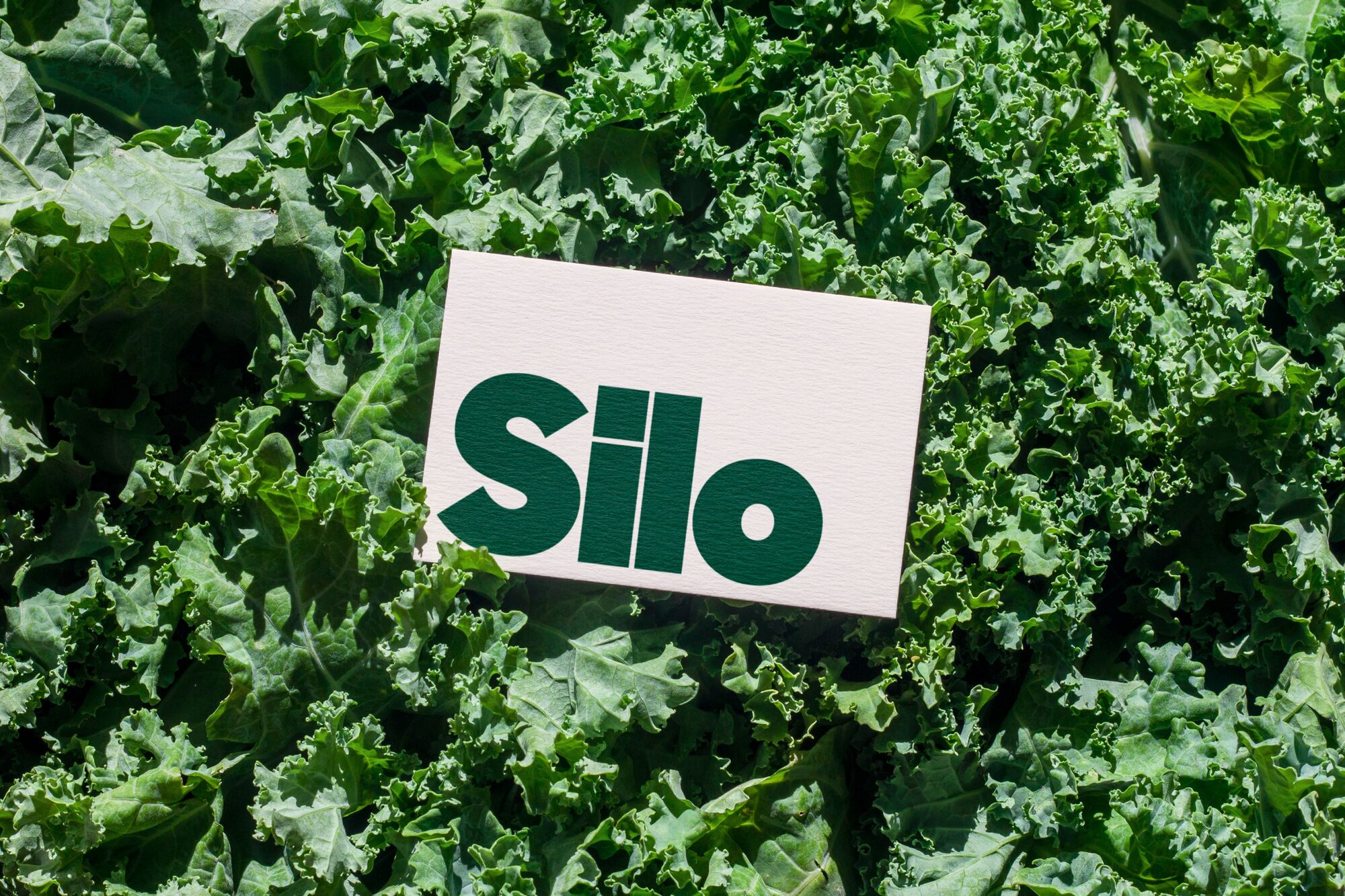 Silo cards listing